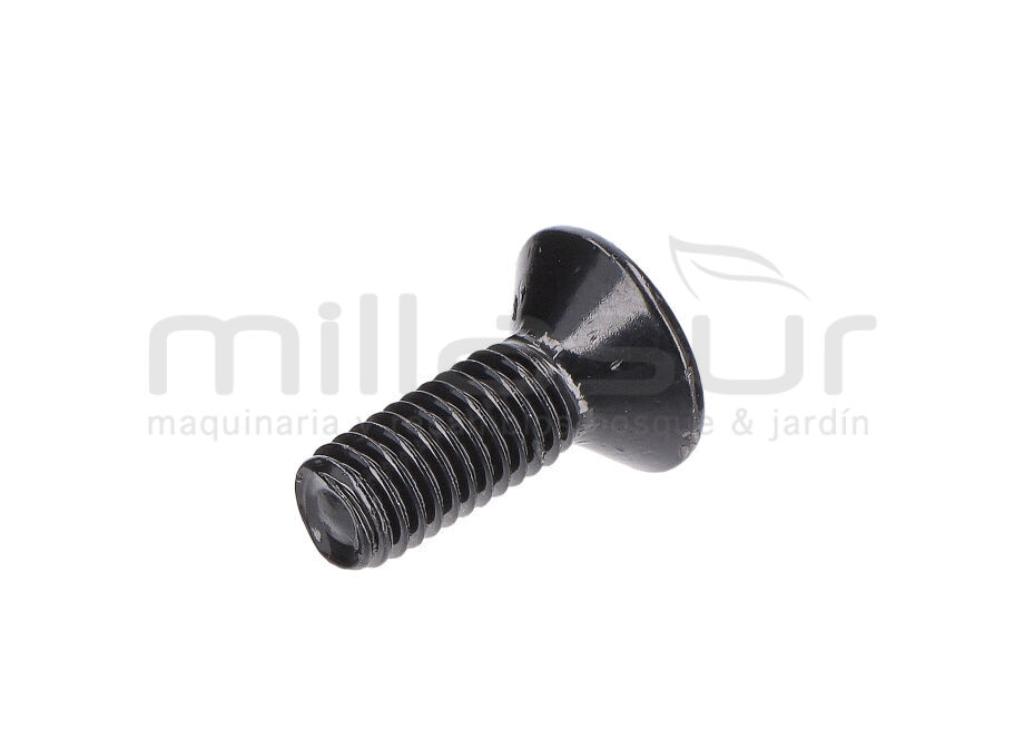 TORNILLO TAPA MOTOR M5X14 (2) - foto 1