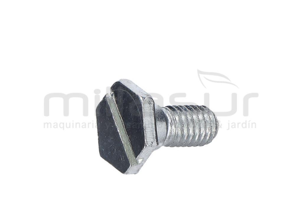 TORNILLO SOPORTE VARILLAS M5X12 (31) - foto 1