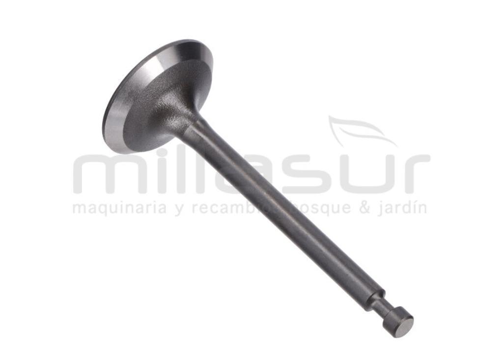 VÁLVULA DE ADMISIÓN GI2200 - foto 1