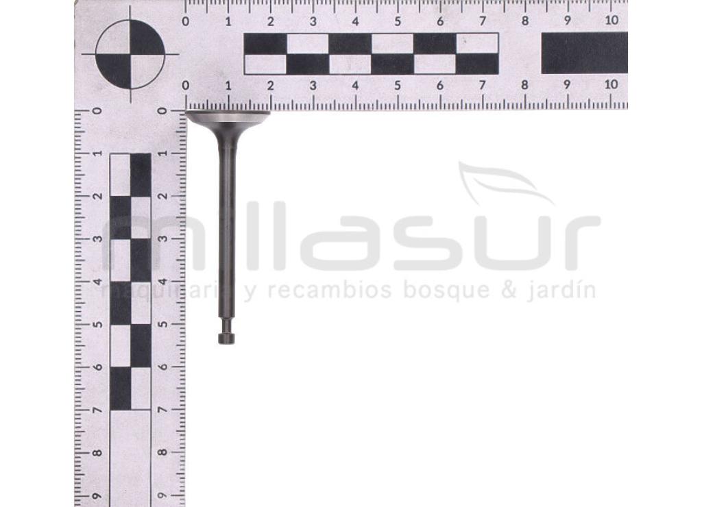 VÁLVULA DE ADMISIÓN GI2200 - foto 3