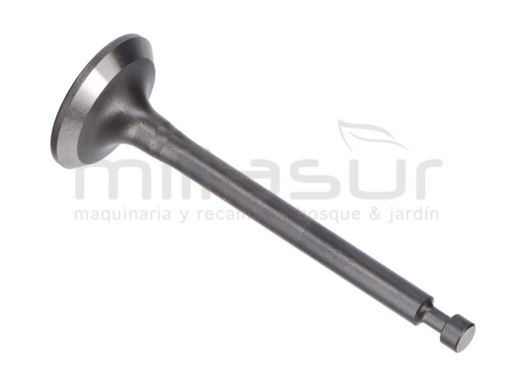 VÁLVULA DE ESCAPE GI2200 - foto 1