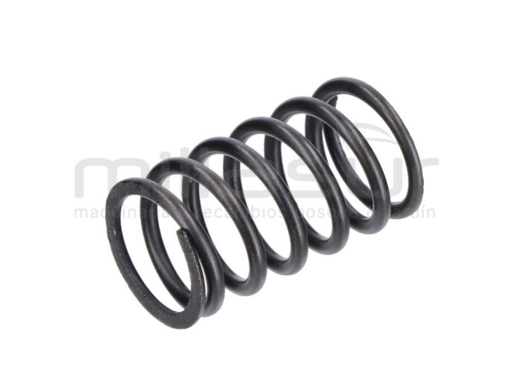 MUELLE DE VÁLVULA GI2200 - foto 2