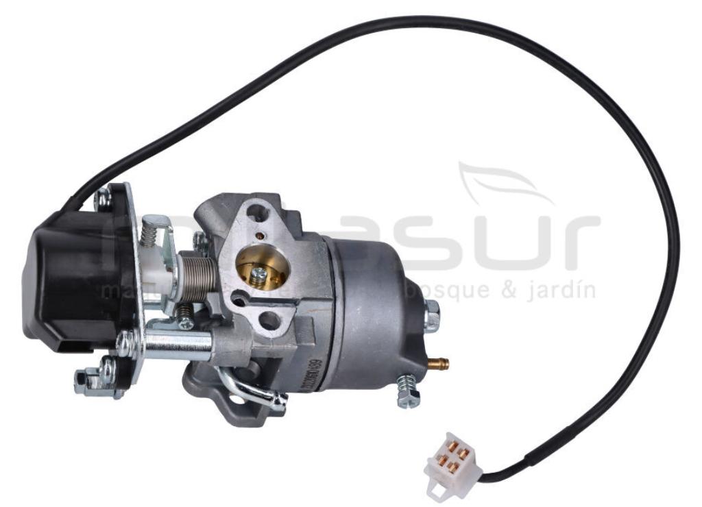 CARBURADOR GI2200 - foto 1