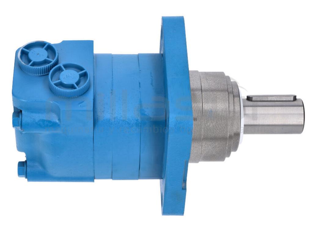 MOTOR HIDRAULICO (169) - foto 1