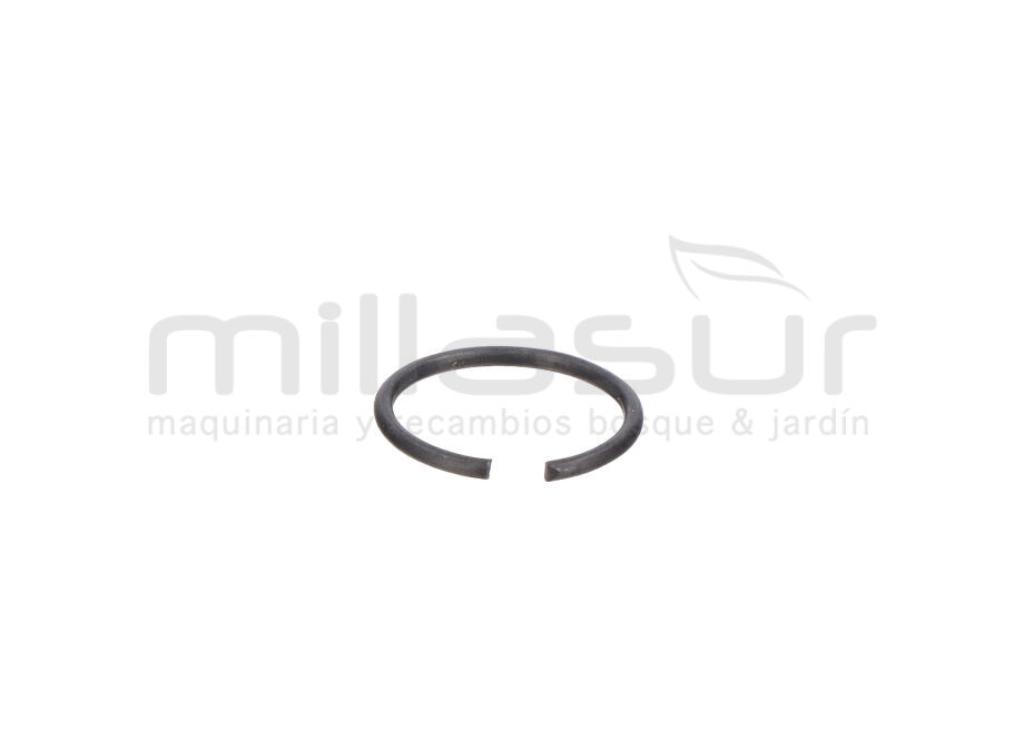 PRESILLA M10 (21) - foto 1