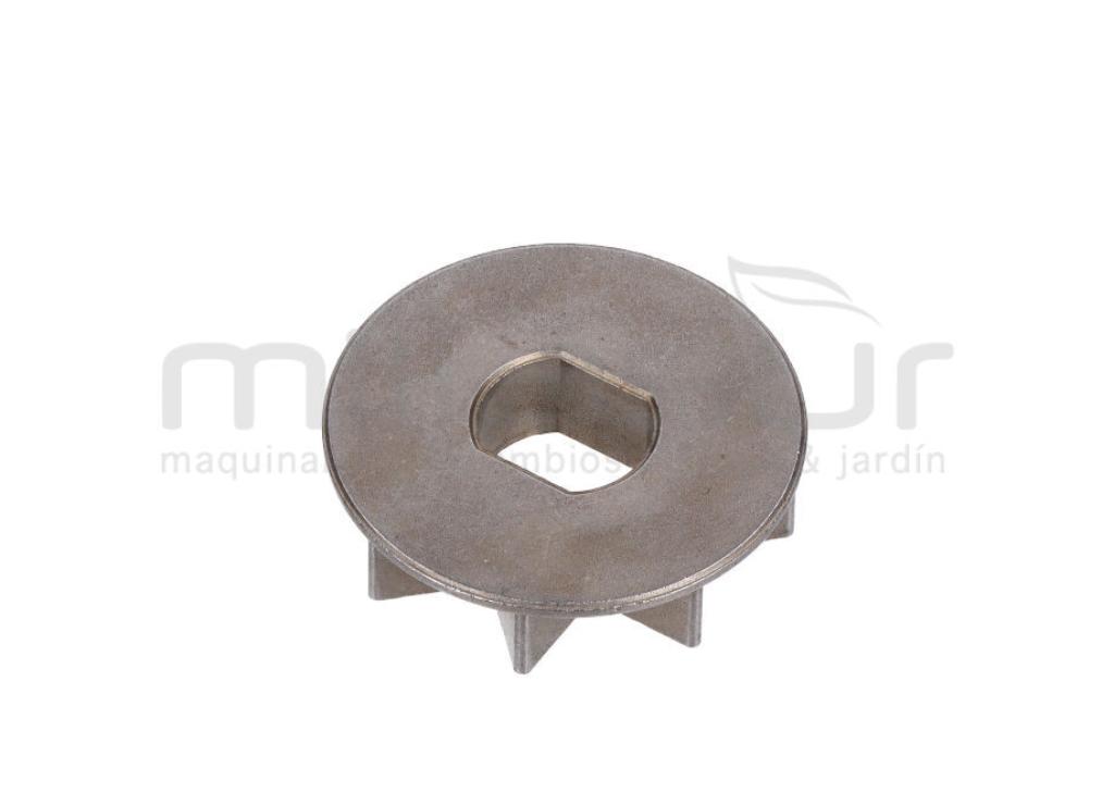 PIÑON DE CADENA (39) - foto 1