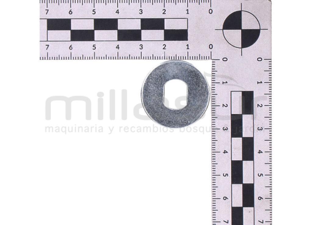 ARANDELA PIÑON CADENA (40) - foto 1