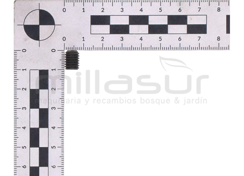 TORNILLO 8X10 CASQUILLO APOYO RUEDA CL700G (6) - foto 2