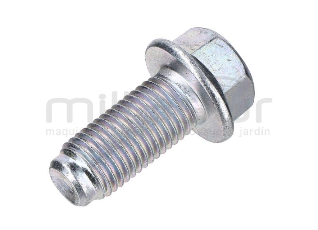 TORNILLO CIGÜEÑAL CL700G (83) - foto 1