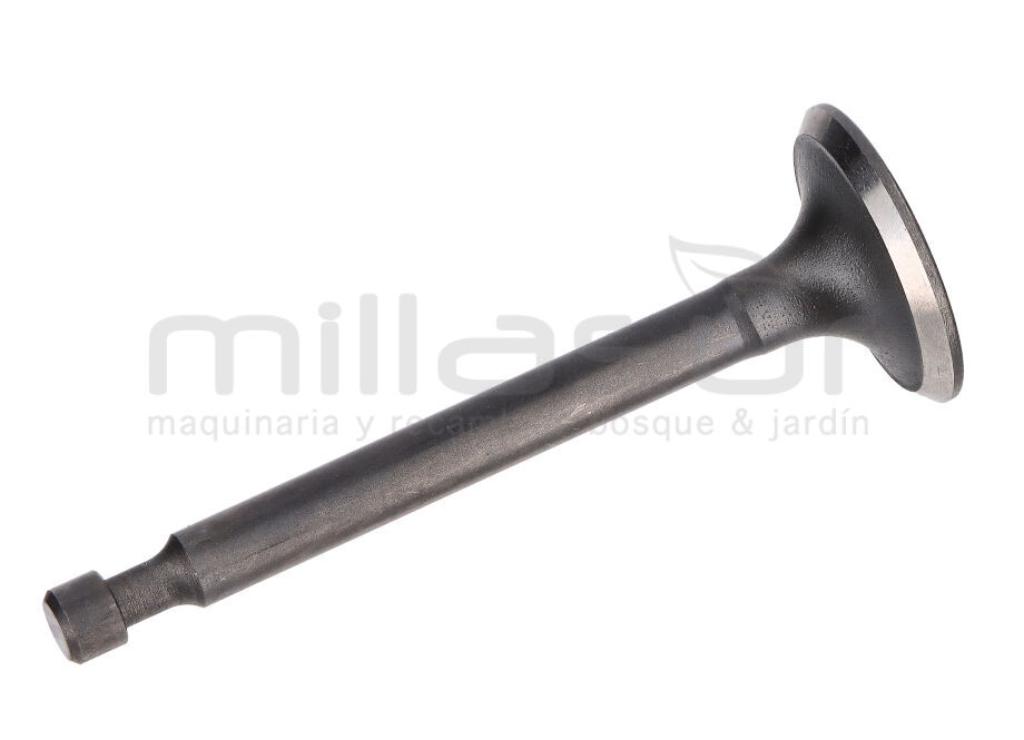 VALVULA ESCAPE CC340PT (67) - foto 1