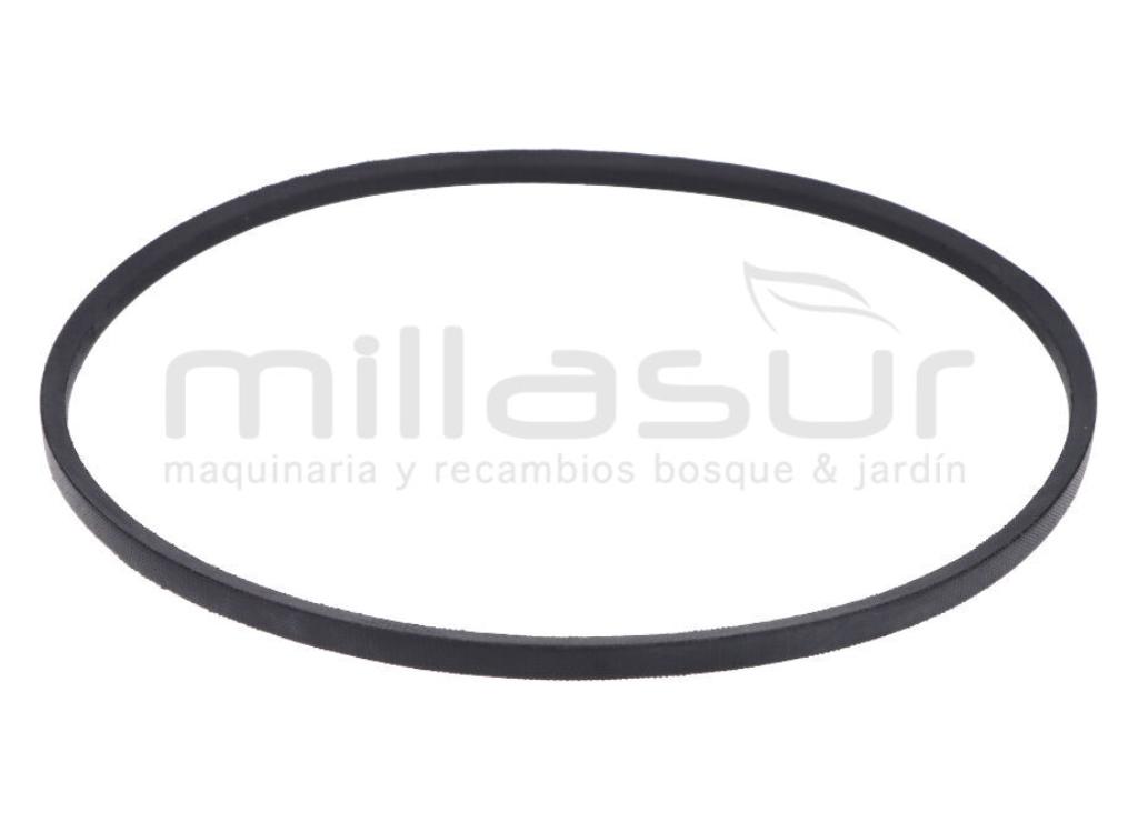 CORREA 686MM (8) - foto 1