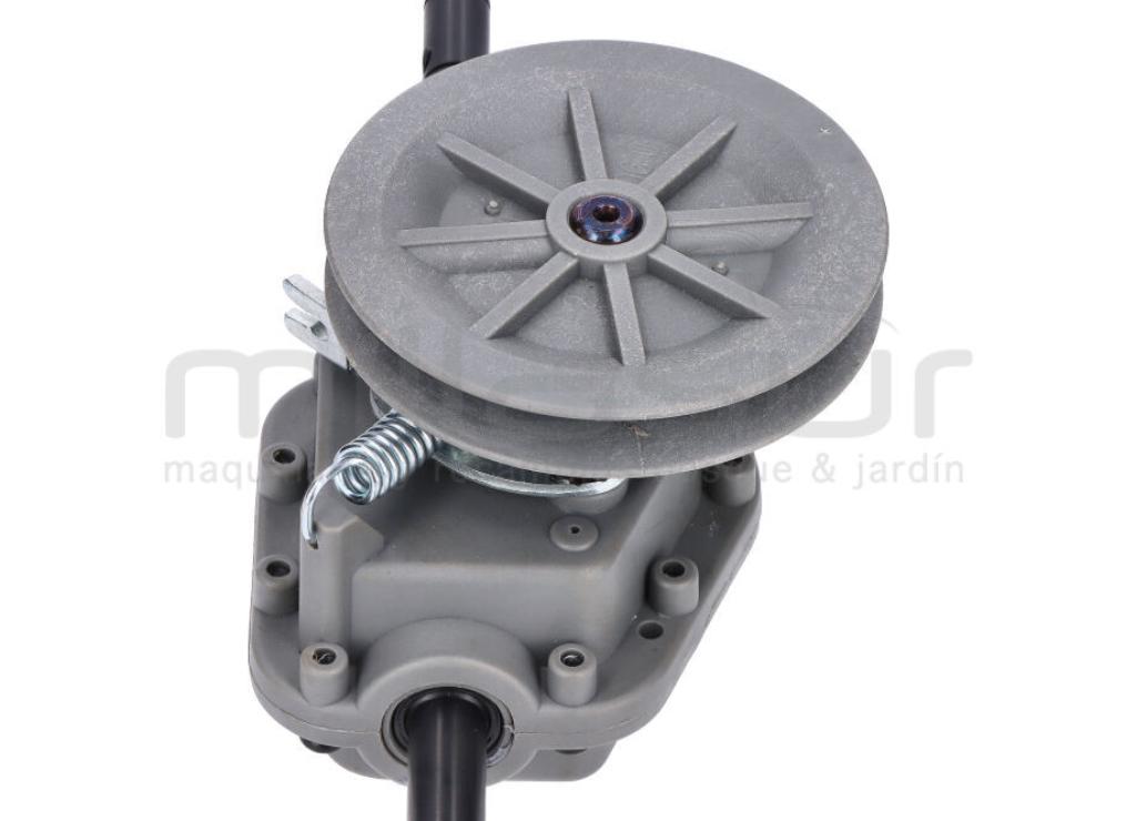 TRACCION (45) - foto 3