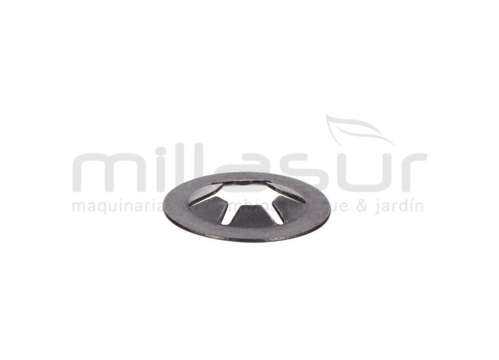 ARANDELA PRESION CL700 (28) - foto 1