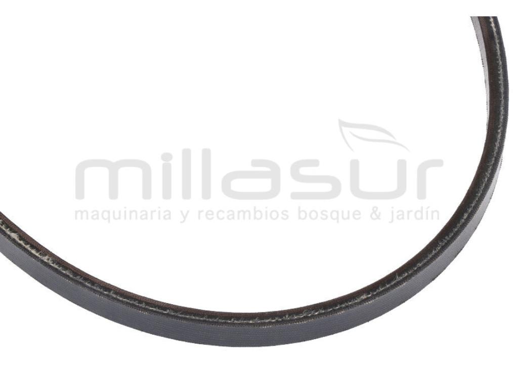 CORREA MTC340-04 - MTC340B-04 (108) - foto 2