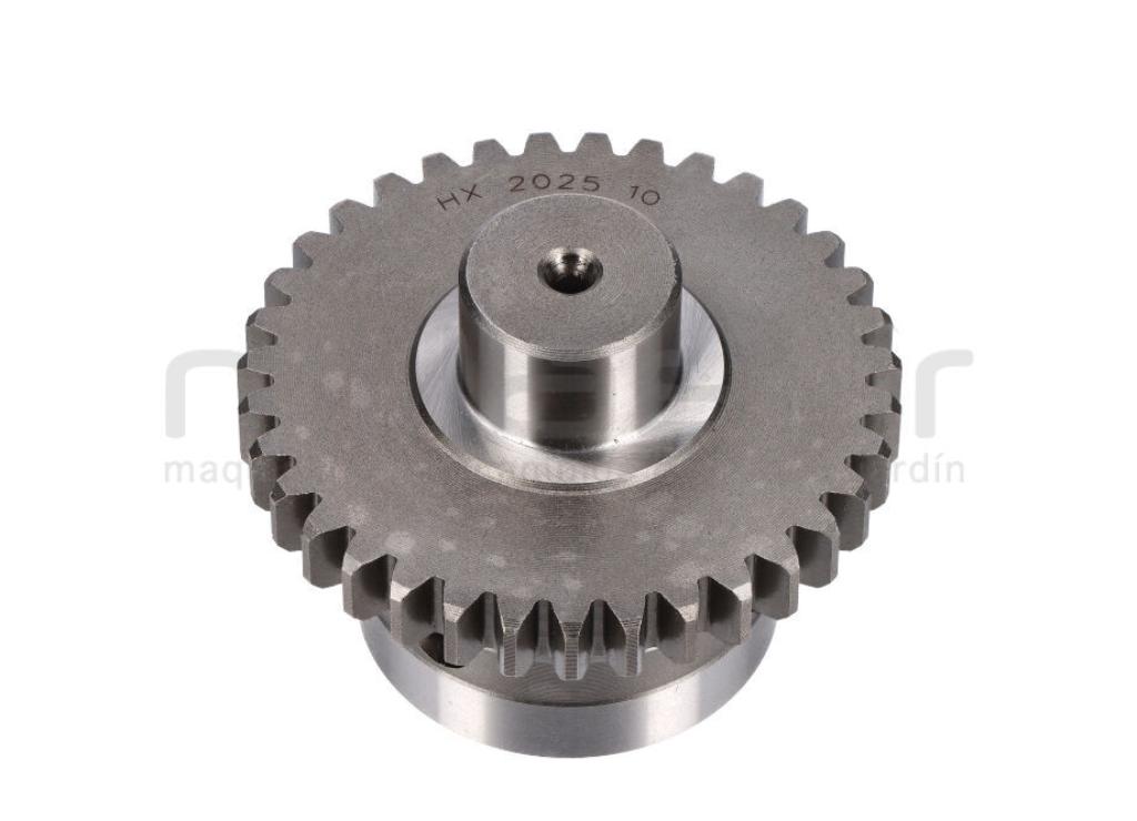 ENGRANAJE RECTO SALIDA MTC340-04 - MTC340B-04 (1,008) - foto 1