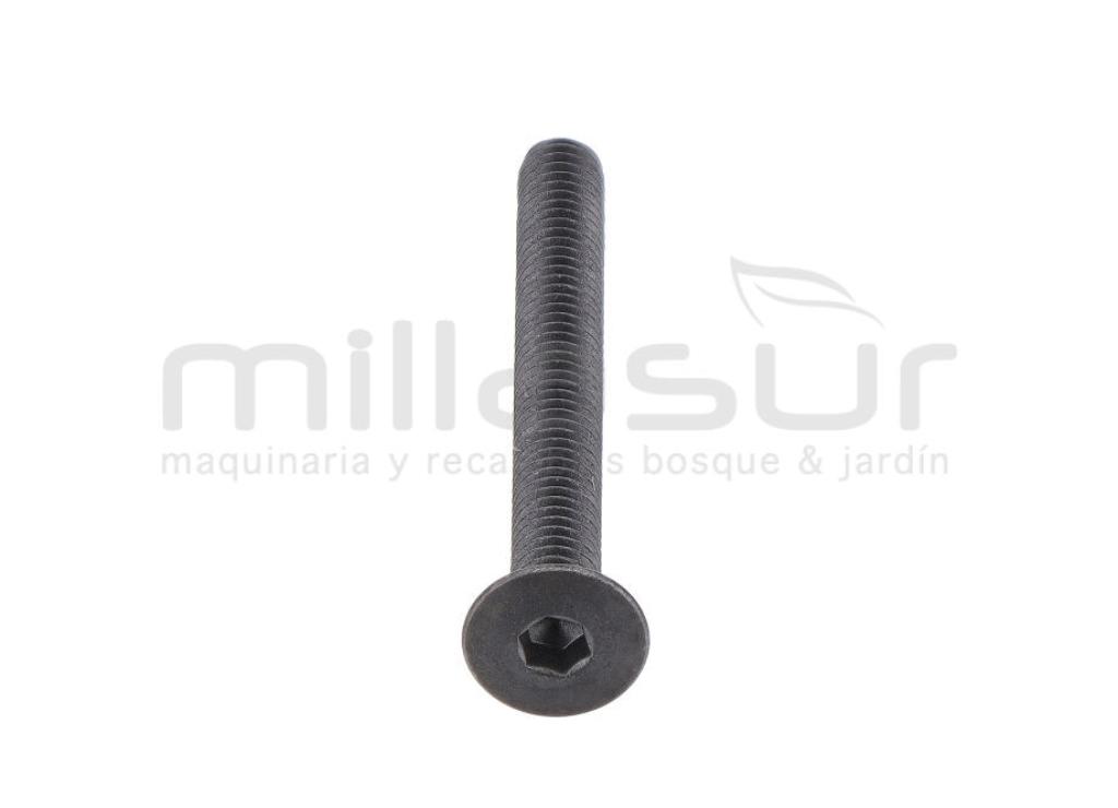 TORNILLO SUJECIÓN EJE PIÑONES TPB4600 (39) - foto 2