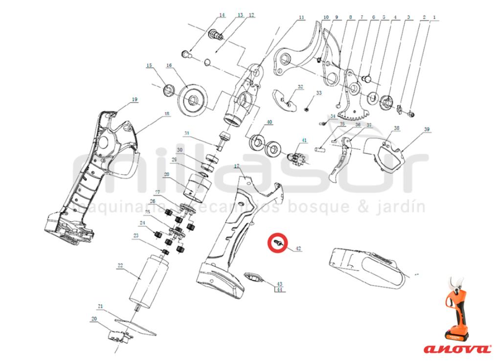 TORNILLO UNIÓN REDUCTORA MOTOR TPB3002 (13) - foto 2