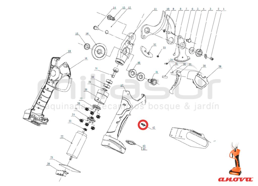 TORNILLO UNIÓN REDUCTORA MOTOR TPB3002 (13) - foto 2