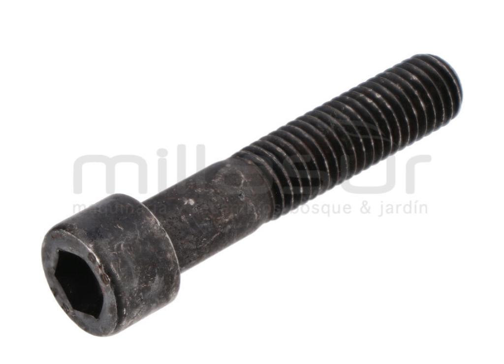 TORNILO SUJECION PUENTE DELANTERO M10x50 TC102 ( 05 20) - foto 1