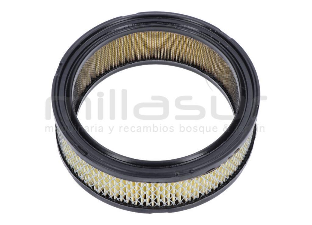 FILTRO AIRE B&S BICILINDRICO - VANGUARD - foto 1
