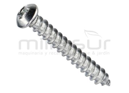 TORNILLO PROTECTOR CADENA ST5X34 MB300 (6)