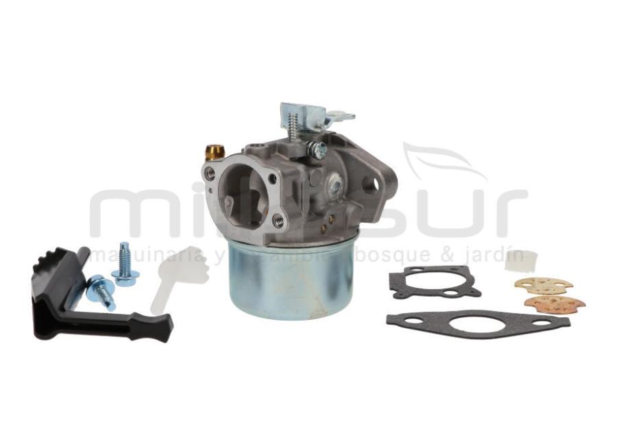 CARBURADOR B&S SERIES 111XXX, 120XXX, 121XXX