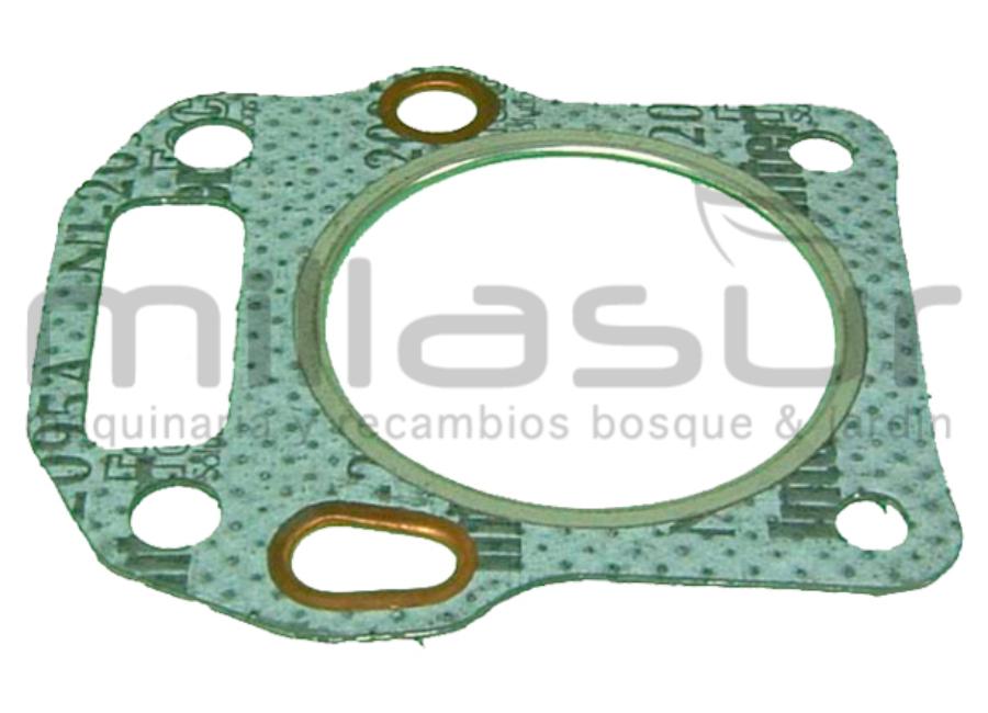 JUNTA CULATA ROBIN EX17-21