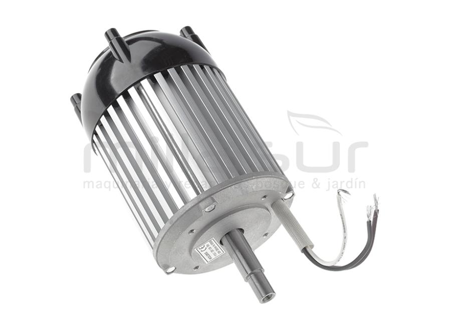 MOTOR AFILADORA TECOMEC 99-134