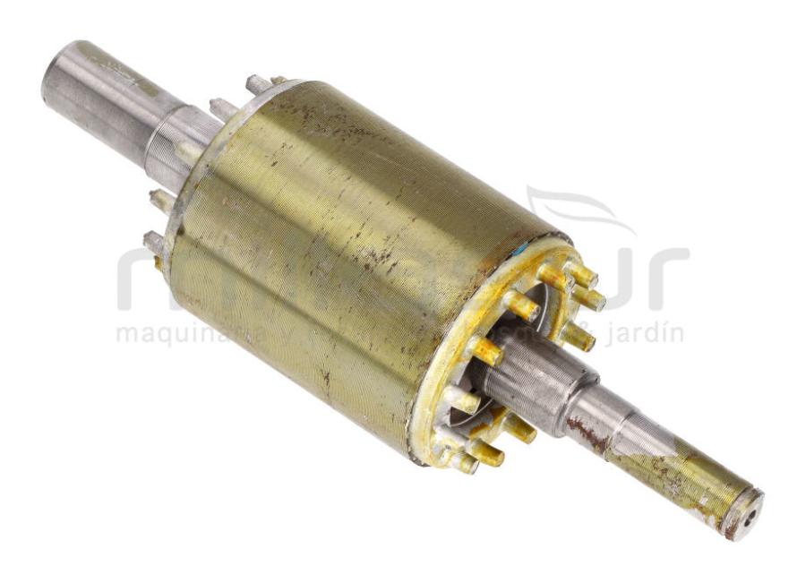 ROTOR MOTOR CA24, CA50 (31) (2HP - 2019)