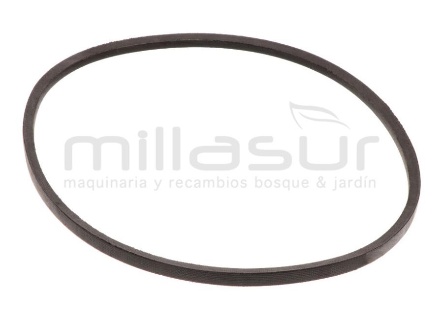 CORREA CC246T (10), CC251TE (12) 686mm - MODELOS GT