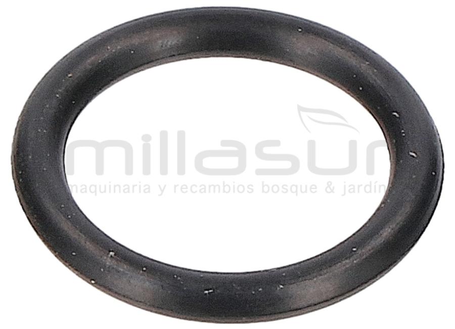 JUNTA TORICA  1,78x10,82 (15)