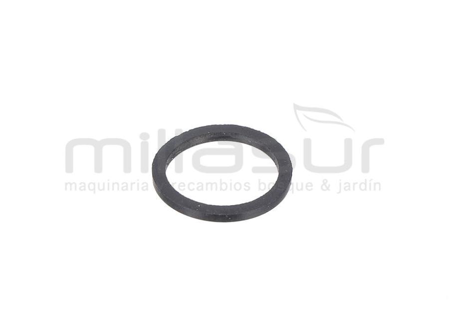 ANILLO TORICO (16)