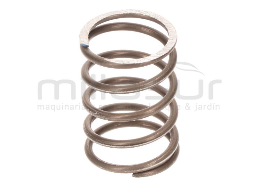 MUELLE PISTON H1700 (65)