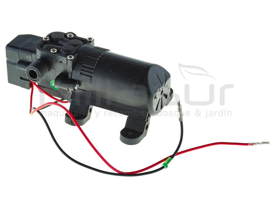 BOMBA AGUA P25B ( 29) MOTOR