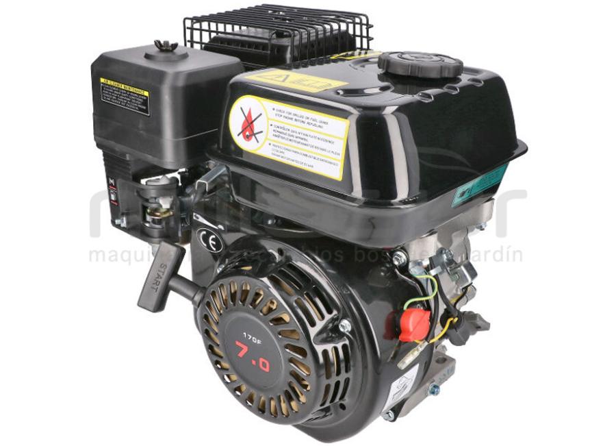 MOTOR COMPLETO 7CV RLT12GVH (49), BIO70 (24)