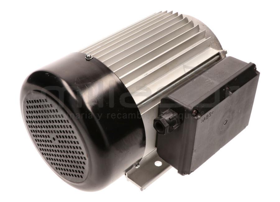 MOTOR ELECTRICO RLT12VH (70)