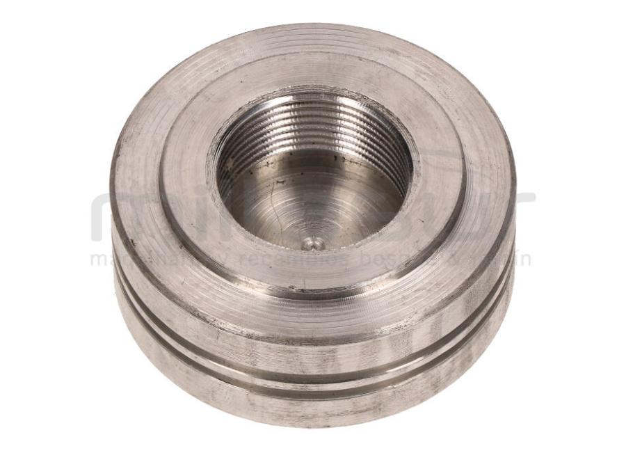 PISTON HIDRAULICO (6)