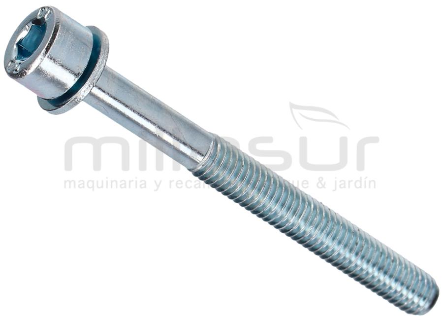 TORNILLO BASE FILTRO CARBURADOR MC52 (46)