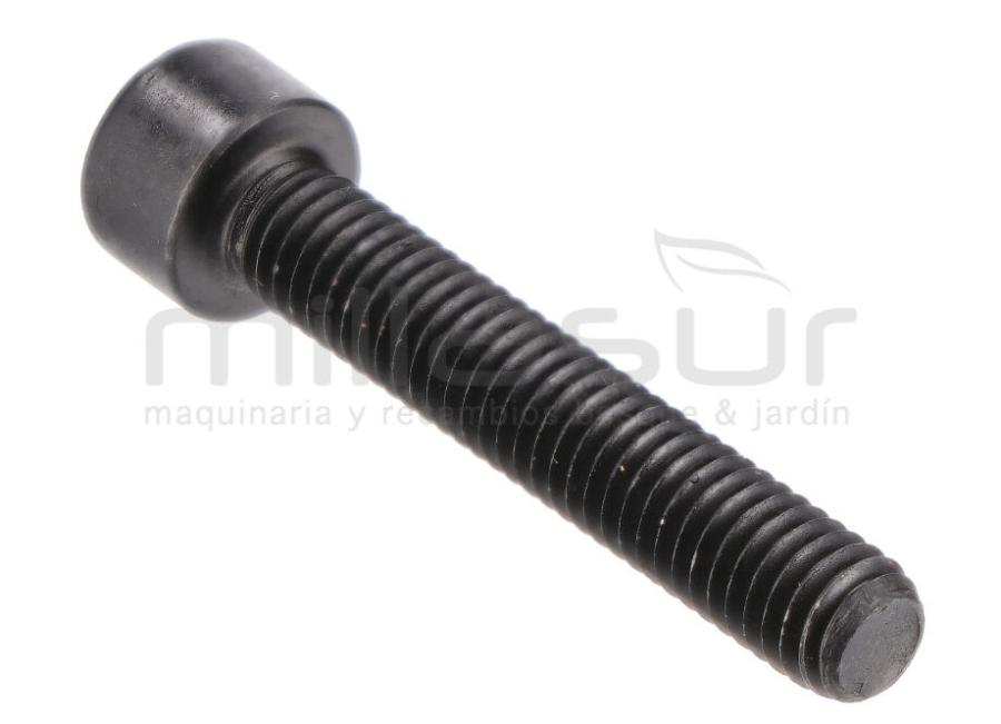 TORNILLO M6X35 TC98S (09 32)