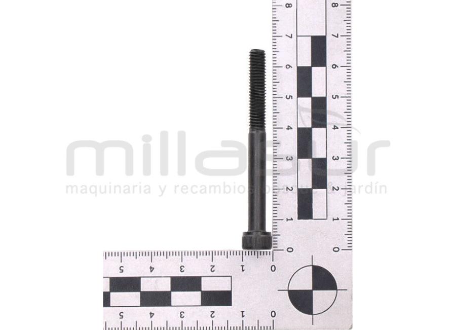 TORNILLO ESCAPE M6X60 D536