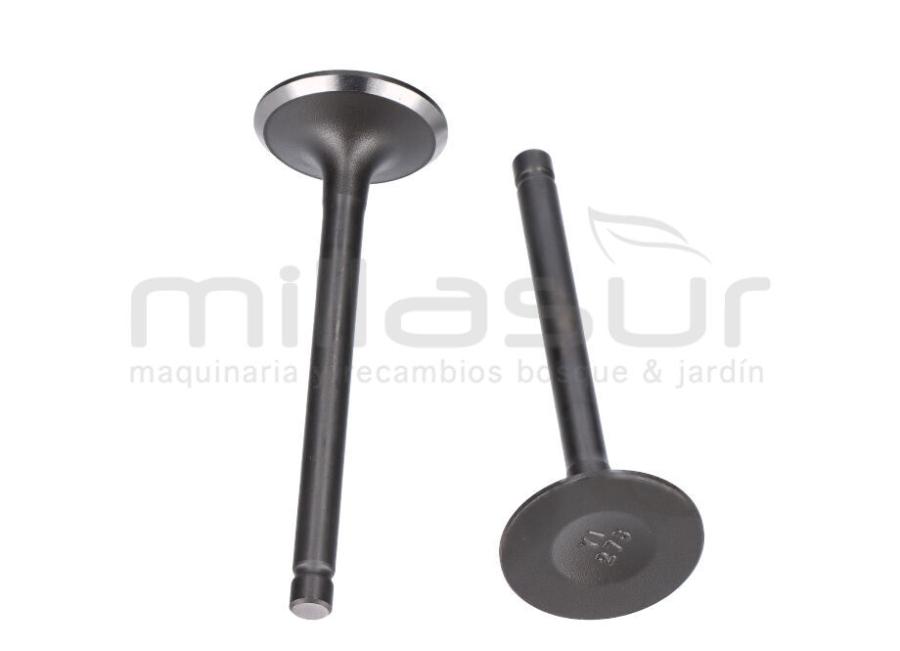 JUEGO VALVULAS TC108LH - LC2P73F- 586CC (6)