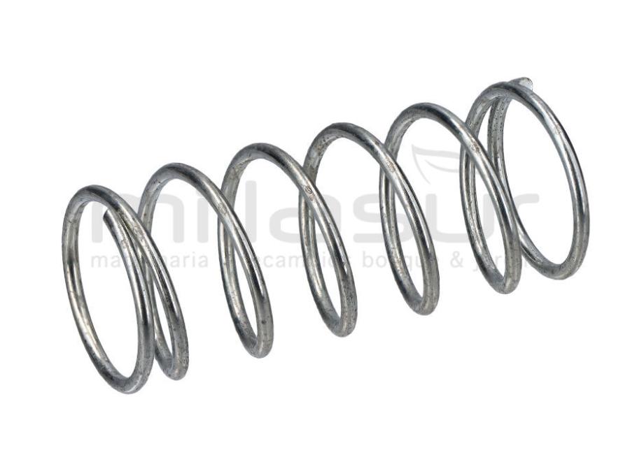 MUELLE RETORNO BULON PASADOR RLT35GVH (24)