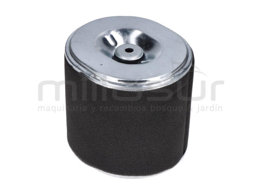 FILTRO AIRE BIO70VR -BIO70D-BIO50V(69,1)