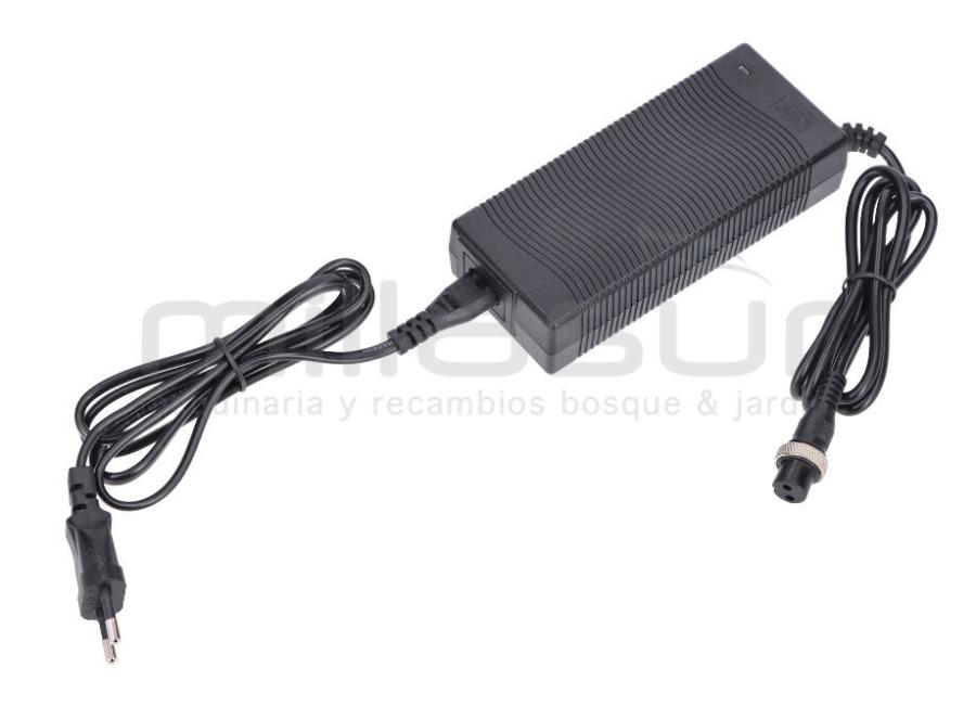 CARGADOR VAR300B 240V-2,5A 50/60hz