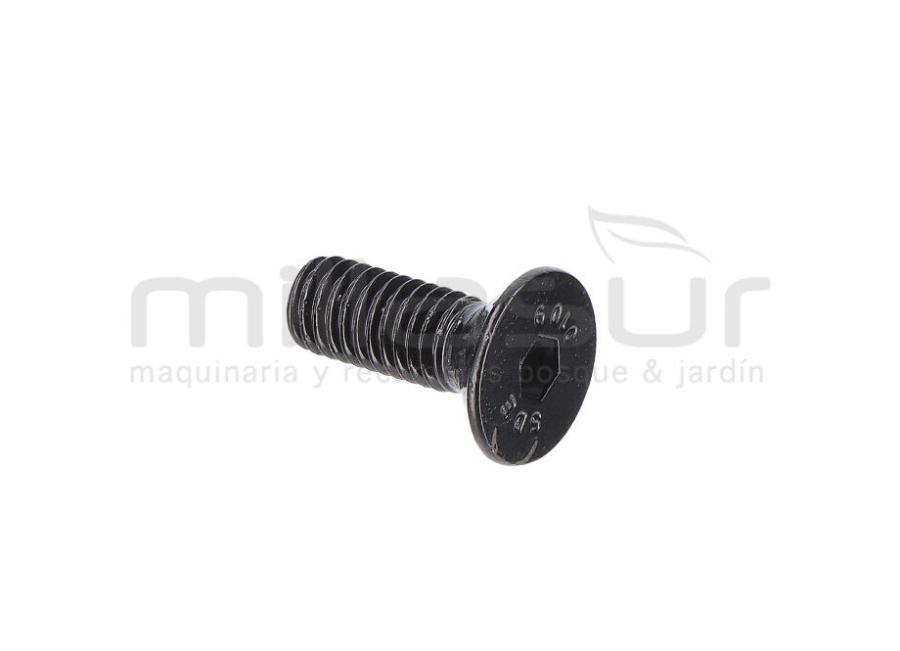 TORNILLO TAPA MOTOR M5X14 (2)