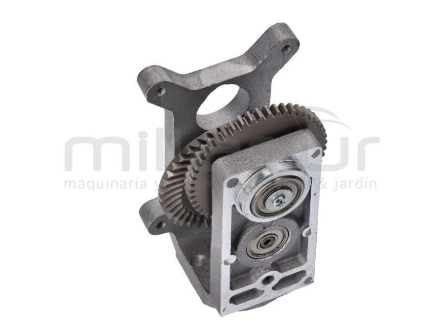 CAJA ENGRANAJES (19)