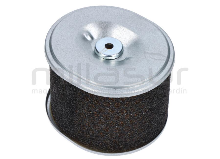 FILTRO AIRE G270F (6)