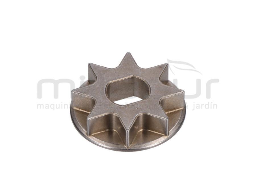 PIÑON DE CADENA (39)