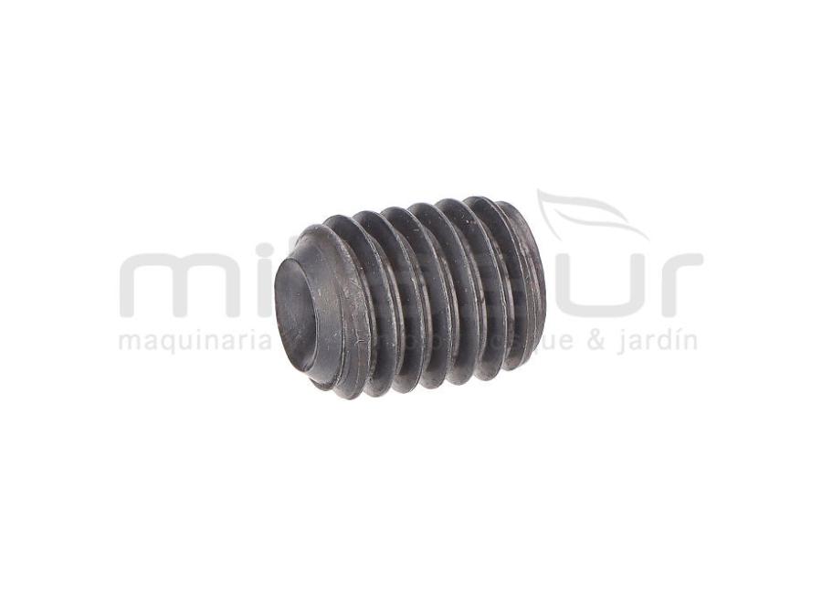 TORNILLO 8X10 CASQUILLO APOYO RUEDA CL700G (6)