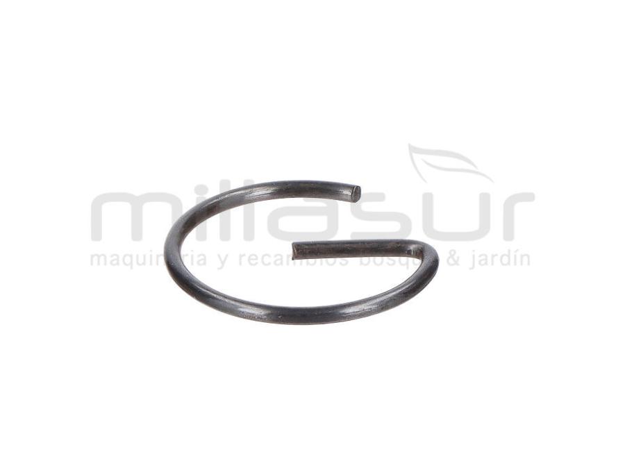 PRESILLA BULON CC340PT (33)